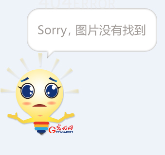 速度与团队